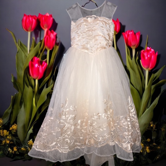 Other - ⭐️Host Pick⭐️ Flower Girl Dress